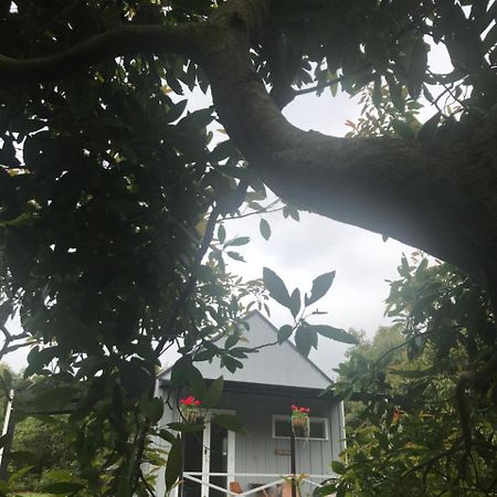 Paradise Grove Whangamata Dış mekan fotoğraf