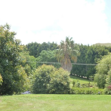Paradise Grove Whangamata Dış mekan fotoğraf
