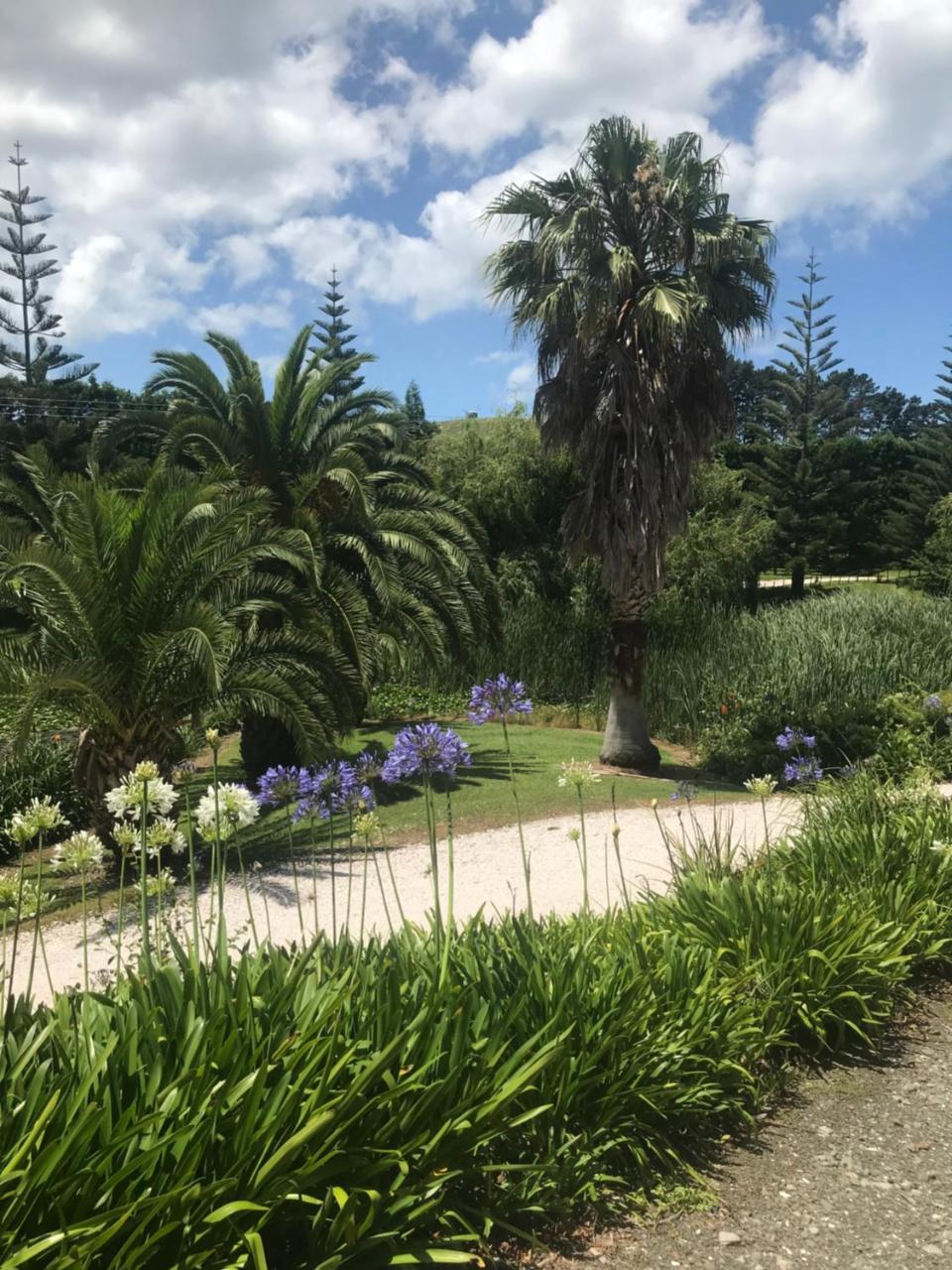 Paradise Grove Whangamata Dış mekan fotoğraf
