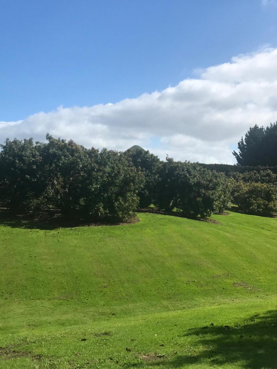 Paradise Grove Whangamata Dış mekan fotoğraf