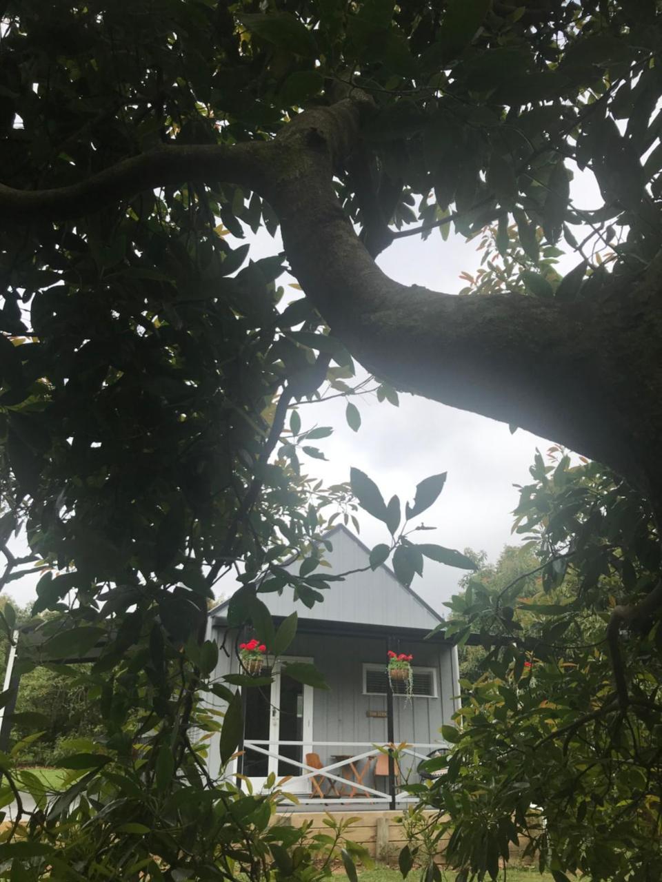 Paradise Grove Whangamata Dış mekan fotoğraf