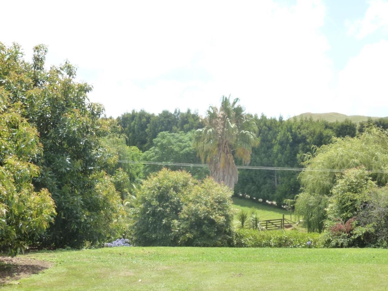 Paradise Grove Whangamata Dış mekan fotoğraf