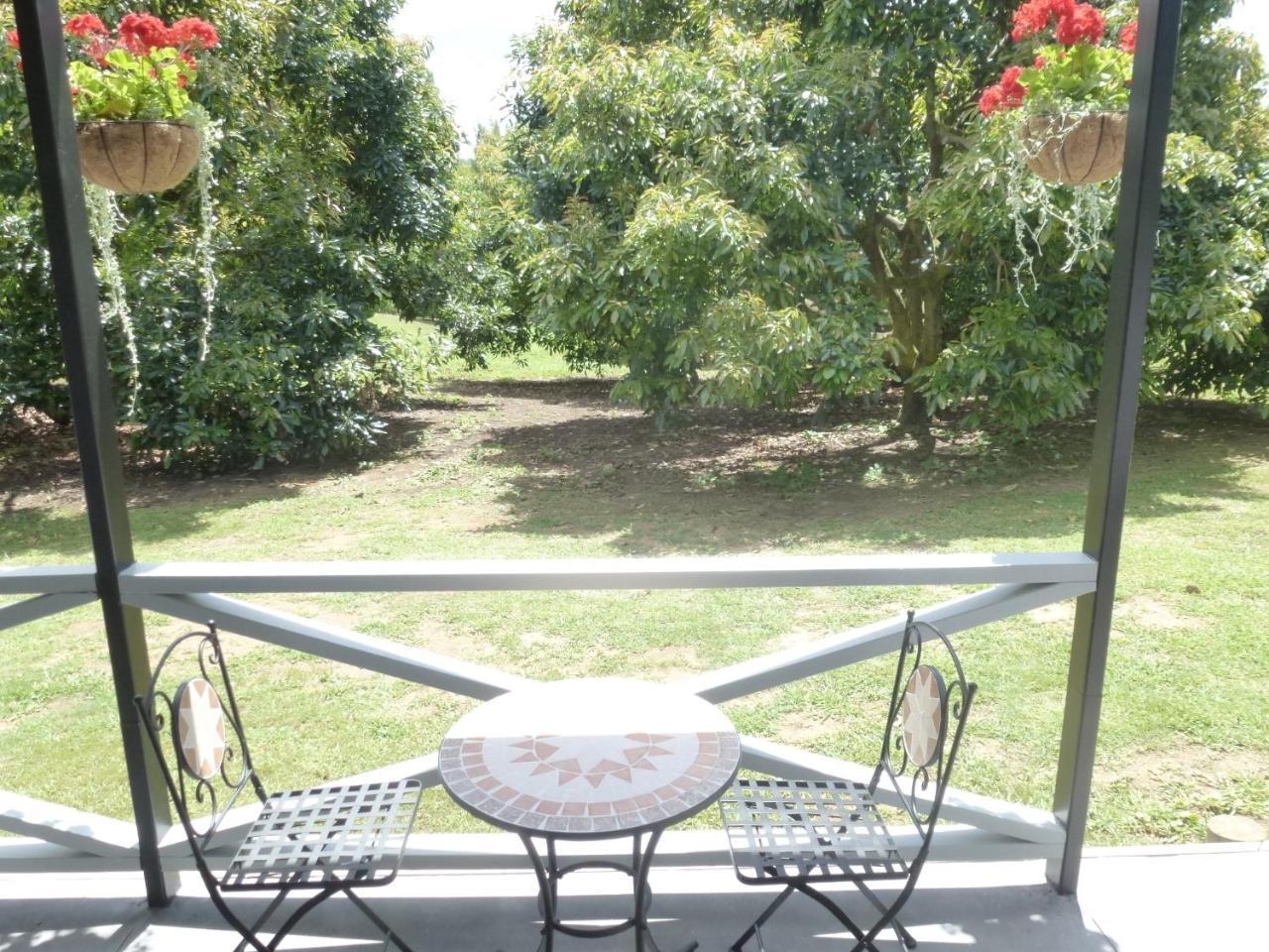 Paradise Grove Whangamata Dış mekan fotoğraf